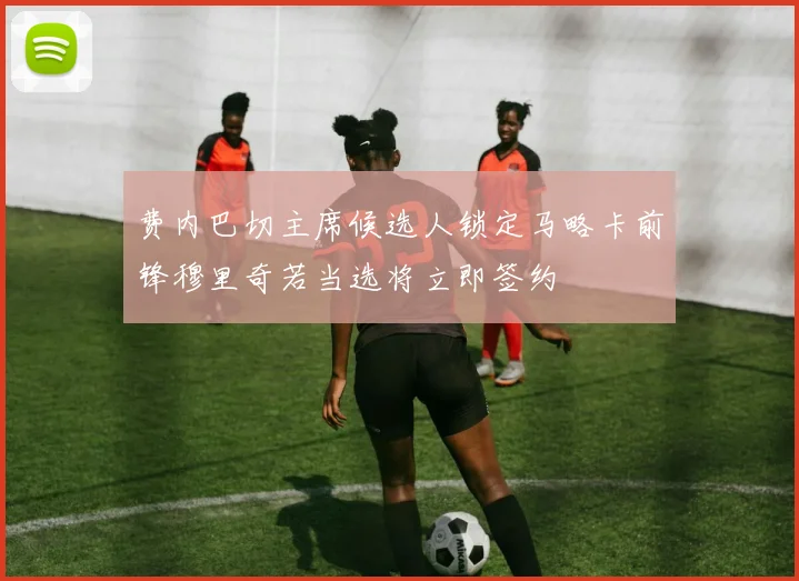 费内巴切主席候选人锁定马略卡前锋穆里奇若当选将立即签约